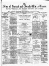Star of Gwent Friday 06 January 1882 Page 1