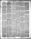 Star of Gwent Friday 26 February 1886 Page 11