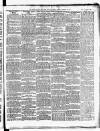 Star of Gwent Friday 16 January 1891 Page 9