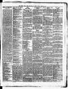 Star of Gwent Friday 06 March 1891 Page 5