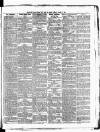 Star of Gwent Friday 06 March 1891 Page 7