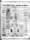 Star of Gwent Friday 17 April 1891 Page 1
