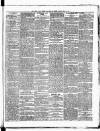 Star of Gwent Friday 08 May 1891 Page 7