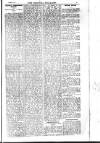 Rhondda Socialist Newspaper Friday 01 December 1911 Page 5