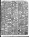 Western People Saturday 18 February 1905 Page 11