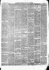 Ballinrobe Chronicle and Mayo Advertiser Saturday 02 January 1875 Page 3