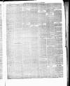 Ballinrobe Chronicle and Mayo Advertiser Saturday 03 April 1875 Page 3