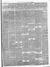 Ballinrobe Chronicle and Mayo Advertiser Saturday 01 January 1876 Page 3