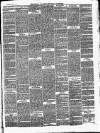 Ballinrobe Chronicle and Mayo Advertiser Saturday 01 April 1876 Page 3