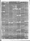 Ballinrobe Chronicle and Mayo Advertiser Saturday 04 November 1876 Page 3