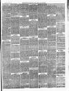 Ballinrobe Chronicle and Mayo Advertiser Saturday 03 February 1877 Page 3