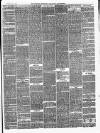 Ballinrobe Chronicle and Mayo Advertiser Saturday 17 February 1877 Page 3
