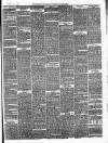 Ballinrobe Chronicle and Mayo Advertiser Saturday 03 March 1877 Page 3