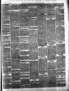 Ballinrobe Chronicle and Mayo Advertiser Saturday 28 April 1877 Page 3