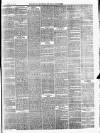 Ballinrobe Chronicle and Mayo Advertiser Saturday 08 December 1877 Page 3