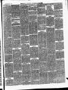 Ballinrobe Chronicle and Mayo Advertiser Saturday 04 January 1879 Page 3
