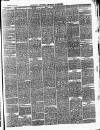 Ballinrobe Chronicle and Mayo Advertiser Saturday 25 January 1879 Page 3