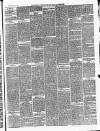 Ballinrobe Chronicle and Mayo Advertiser Saturday 08 February 1879 Page 3