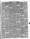 Ballinrobe Chronicle and Mayo Advertiser Saturday 22 February 1879 Page 3