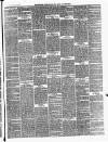 Ballinrobe Chronicle and Mayo Advertiser Saturday 22 March 1879 Page 3
