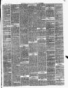 Ballinrobe Chronicle and Mayo Advertiser Saturday 21 June 1879 Page 3