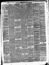 Ballinrobe Chronicle and Mayo Advertiser Saturday 16 August 1879 Page 3