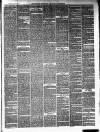 Ballinrobe Chronicle and Mayo Advertiser Saturday 31 January 1880 Page 3