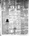 Ballinrobe Chronicle and Mayo Advertiser Saturday 07 February 1880 Page 4