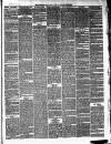 Ballinrobe Chronicle and Mayo Advertiser Saturday 21 February 1880 Page 3