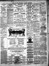 Ballinrobe Chronicle and Mayo Advertiser Saturday 02 April 1881 Page 4