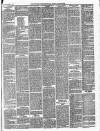 Ballinrobe Chronicle and Mayo Advertiser Saturday 27 February 1886 Page 3
