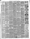 Ballinrobe Chronicle and Mayo Advertiser Saturday 24 April 1886 Page 3