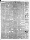 Ballinrobe Chronicle and Mayo Advertiser Saturday 09 April 1887 Page 3