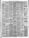 Ballinrobe Chronicle and Mayo Advertiser Saturday 07 May 1887 Page 3
