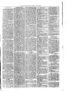 Ballymena Advertiser Saturday 12 July 1879 Page 3