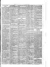 Ballymena Advertiser Saturday 12 July 1879 Page 7