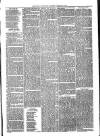 Ballymena Advertiser Saturday 07 February 1880 Page 7