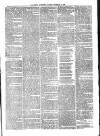 Ballymena Advertiser Saturday 14 February 1880 Page 5