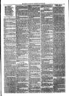 Ballymena Advertiser Saturday 06 March 1880 Page 7