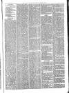 Ballymena Advertiser Saturday 01 January 1881 Page 7