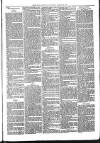 Ballymena Advertiser Saturday 22 January 1881 Page 7