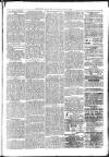 Ballymena Advertiser Saturday 12 March 1881 Page 3