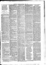 Ballymena Advertiser Saturday 17 June 1882 Page 7