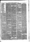 Ballymena Advertiser Saturday 16 December 1882 Page 7