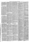 Ballymena Advertiser Saturday 22 March 1884 Page 3