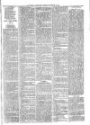 Ballymena Advertiser Saturday 08 November 1884 Page 7