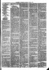 Ballymena Advertiser Saturday 21 March 1885 Page 7