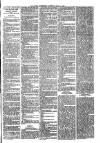 Ballymena Advertiser Saturday 17 April 1886 Page 7
