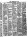 Ballymena Advertiser Saturday 29 January 1887 Page 7