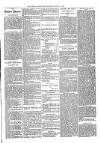 Ballymena Advertiser Saturday 19 March 1887 Page 5